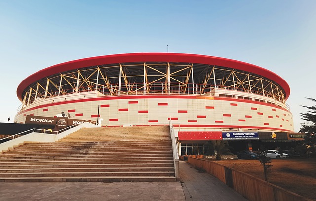 追求梦想 追求梦想