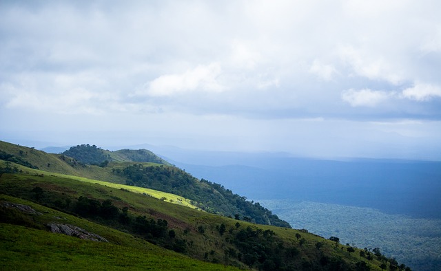 即便是强如 即便是强如