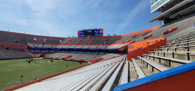 巨大的經濟 巨大的經濟