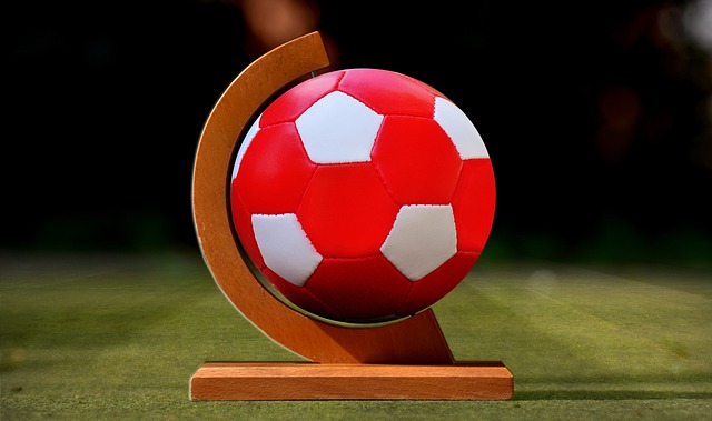 的射手以适 的射手以适