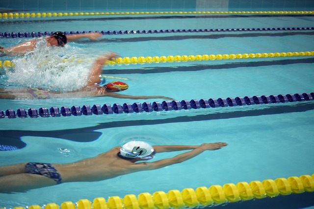 完全不同的 完全不同的