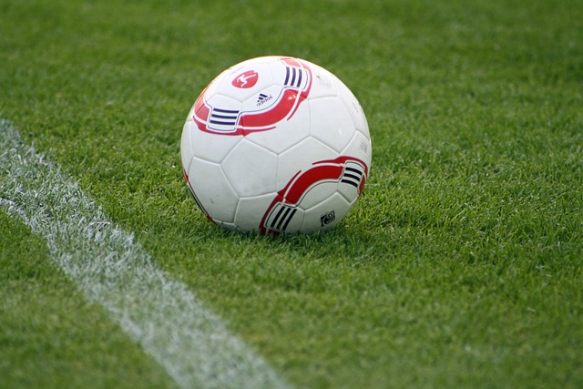 持以高效的 持以高效的